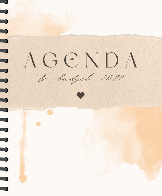 Agenda & budget #61