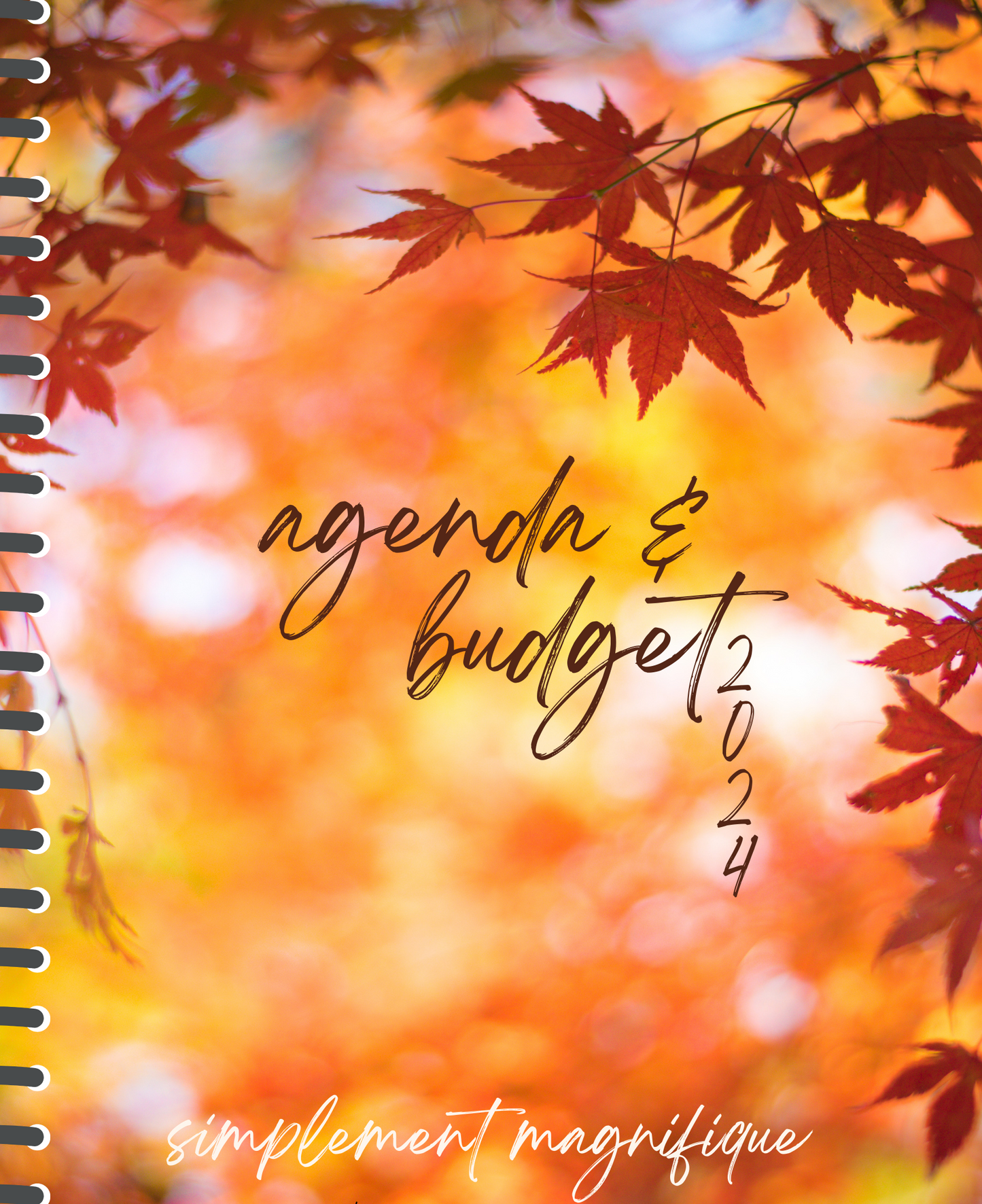 Agenda & budget #73